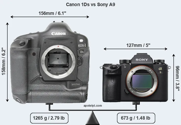 Size Canon 1Ds vs Sony A9