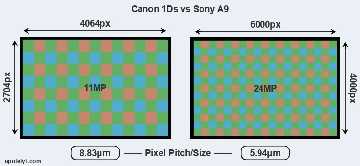 1Ds versus A9 MP