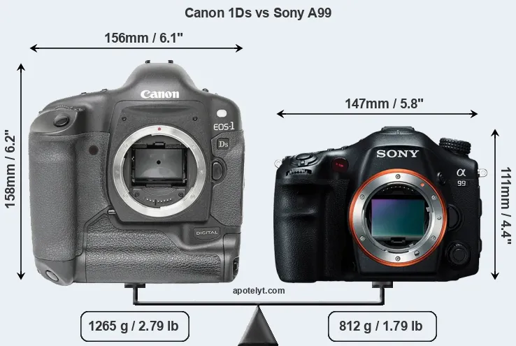 Size Canon 1Ds vs Sony A99