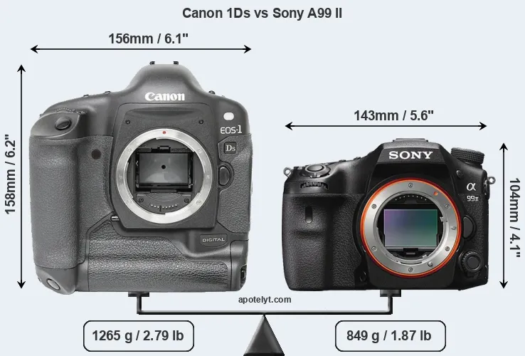 Size Canon 1Ds vs Sony A99 II