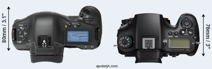 Compare 1Ds versus A99 II top