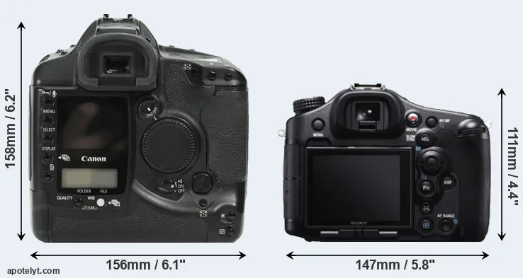 Comparison 1Ds or A99 rear