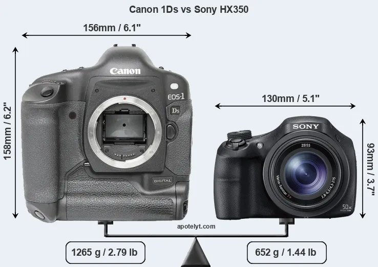 Size Canon 1Ds vs Sony HX350