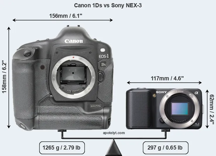 Size Canon 1Ds vs Sony NEX-3