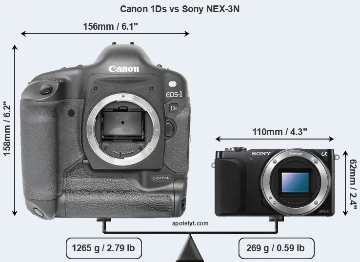 Size Canon 1Ds vs Sony NEX-3N