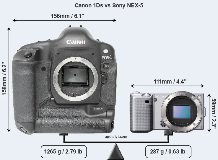 Size Canon 1Ds vs Sony NEX-5