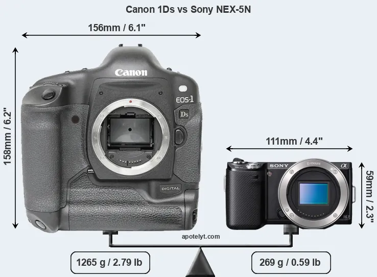 Size Canon 1Ds vs Sony NEX-5N