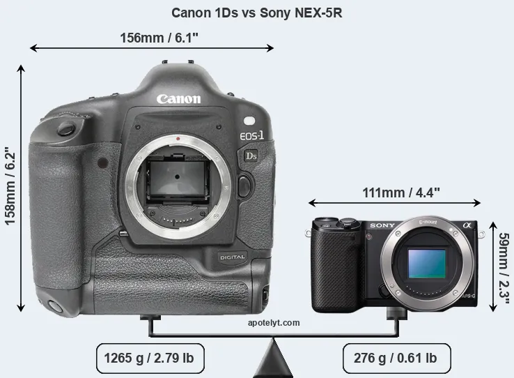 Size Canon 1Ds vs Sony NEX-5R
