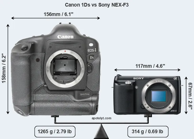 Size Canon 1Ds vs Sony NEX-F3