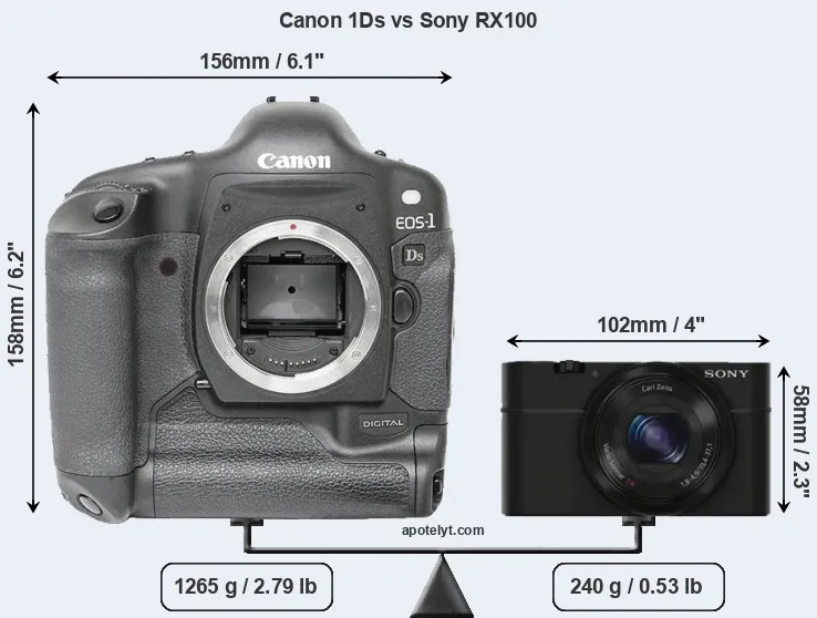 Size Canon 1Ds vs Sony RX100