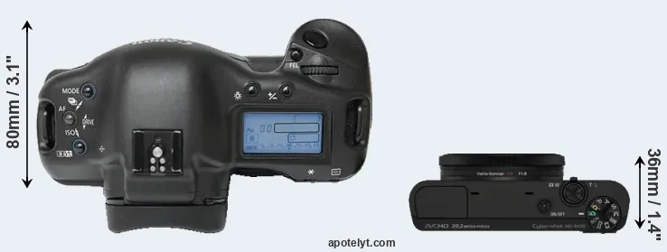 Compare 1Ds versus RX100 top