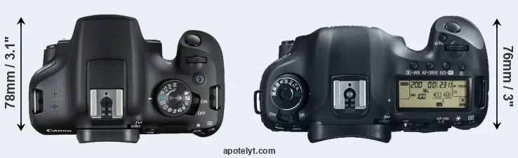 Compare 2000D versus 5D Mark III top