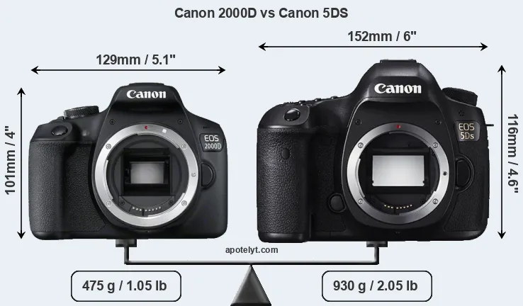 Size Canon 2000D vs Canon 5DS