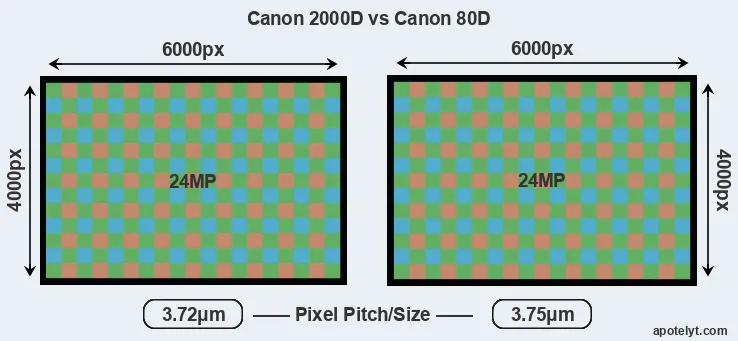 2000D versus 80D MP