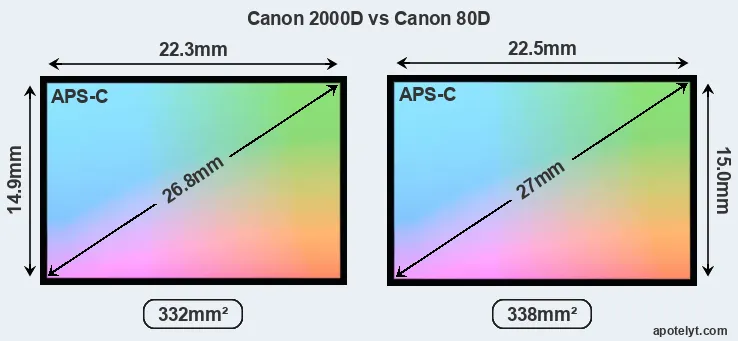 Canon 2000D and Canon 80D sensor measures
