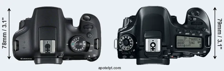 Compare 2000D versus 80D top