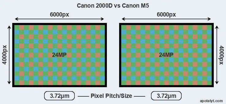 2000D versus M5 MP