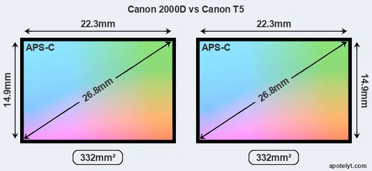 Canon 2000D and Canon T5 sensor measures