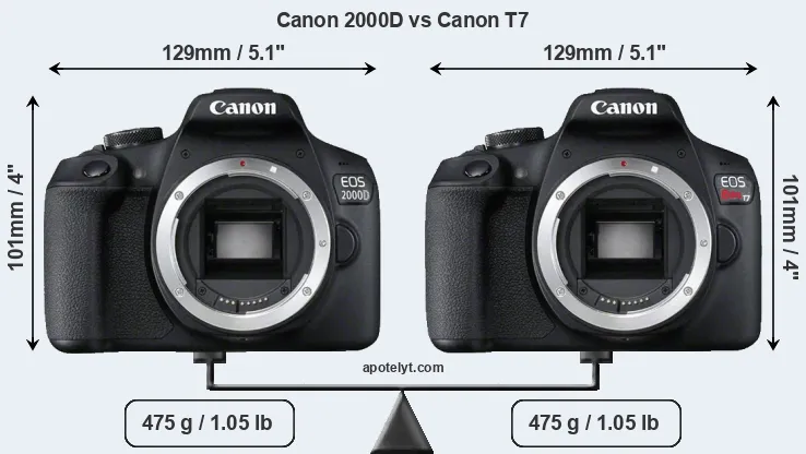 Size Canon 2000D vs Canon T7