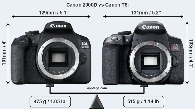 Size Canon 2000D vs Canon T8i