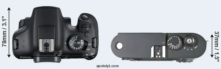 Compare 2000D versus M8 top