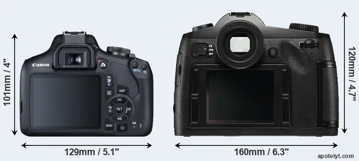 Comparison 2000D or S Typ 006 rear
