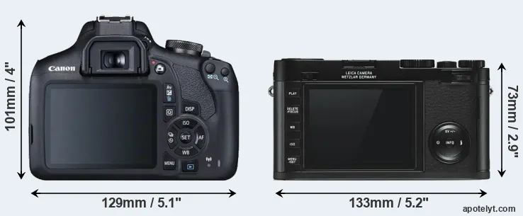 Comparison 2000D or X Typ 113 rear