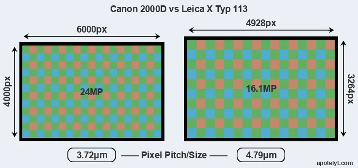 2000D versus X Typ 113 MP
