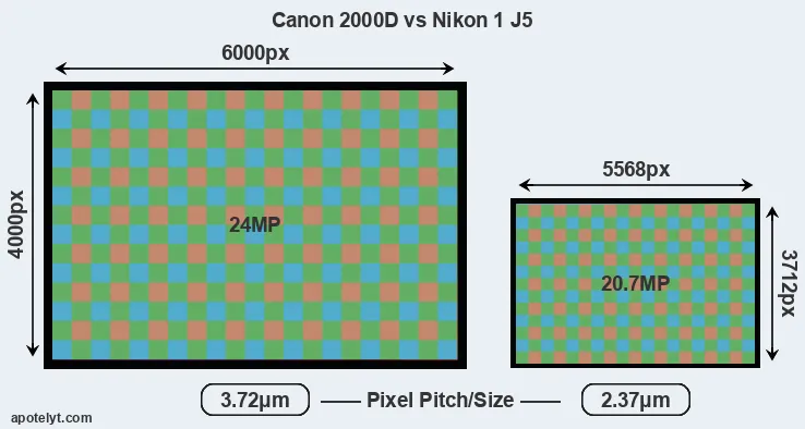 2000D versus J5 MP
