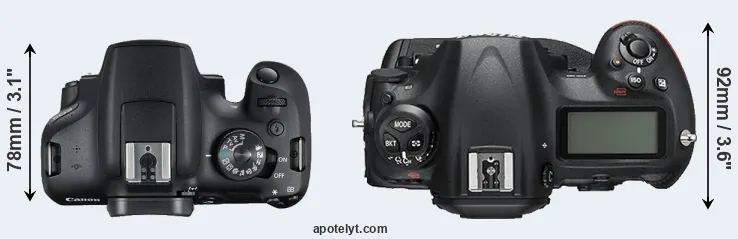 Compare 2000D versus D5 top