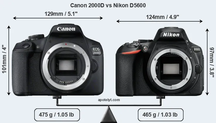 Size Canon 2000D vs Nikon D5600