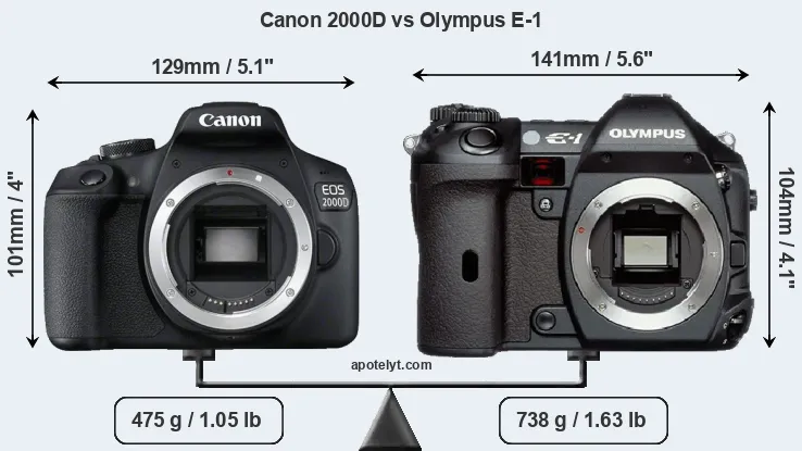 Size Canon 2000D vs Olympus E-1