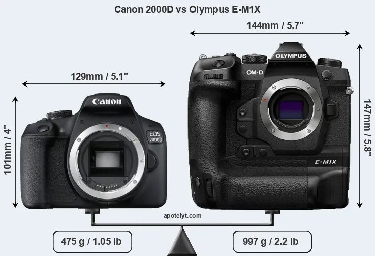 Size Canon 2000D vs Olympus E-M1X