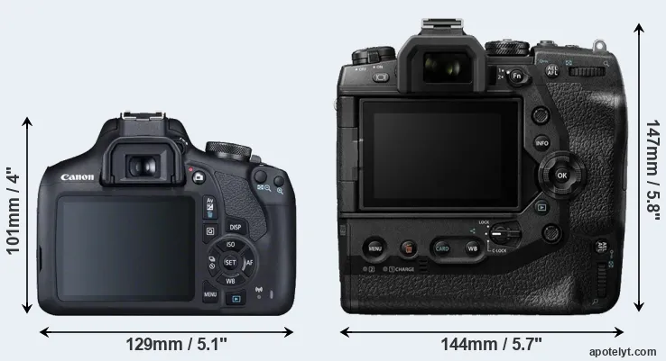 Comparison 2000D or E-M1X rear