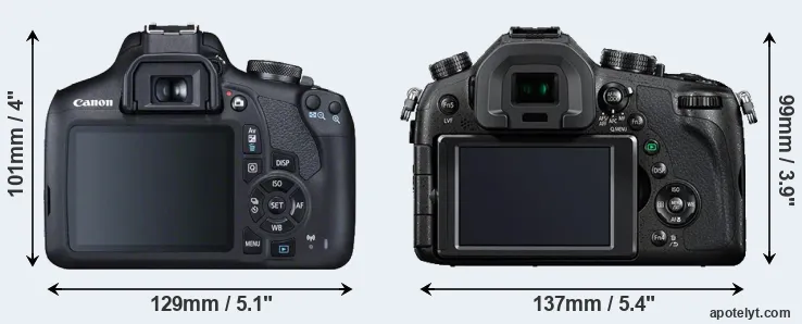 Comparison 2000D or FZ1000 rear