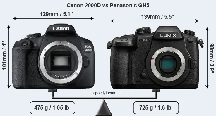 Size Canon 2000D vs Panasonic GH5