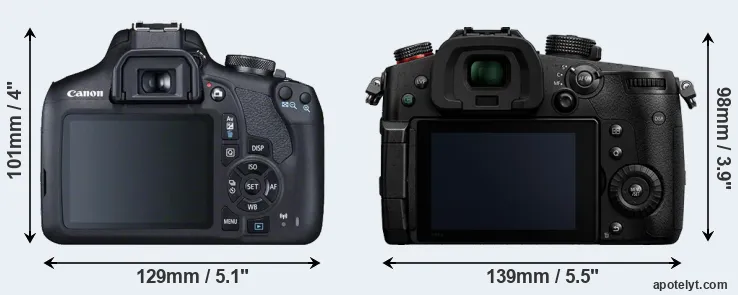 Comparison 2000D or GH5 II rear