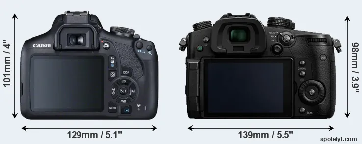 Comparison 2000D or GH5 rear