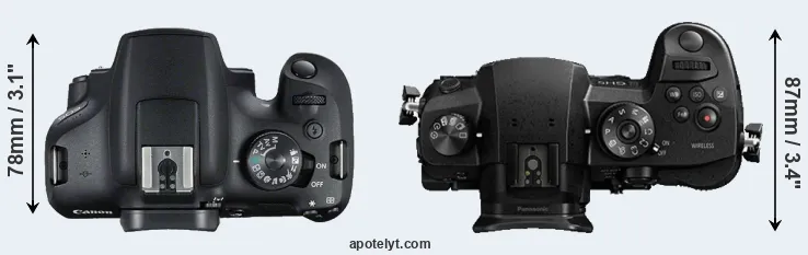 Compare 2000D versus GH5 top