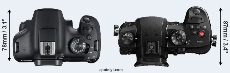 Compare 2000D versus GH5s top
