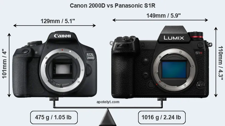 Size Canon 2000D vs Panasonic S1R