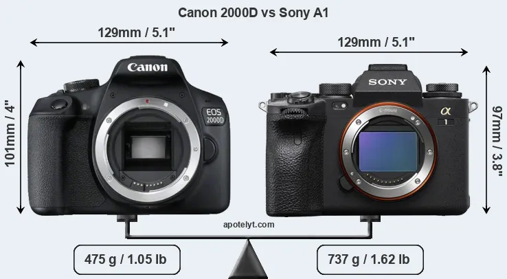 Size Canon 2000D vs Sony A1