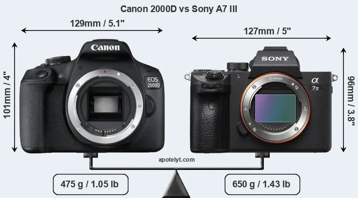 Size Canon 2000D vs Sony A7 III
