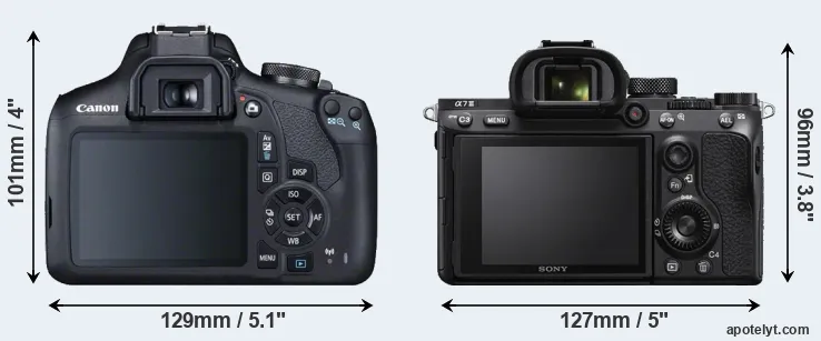 Comparison 2000D or A7 III rear