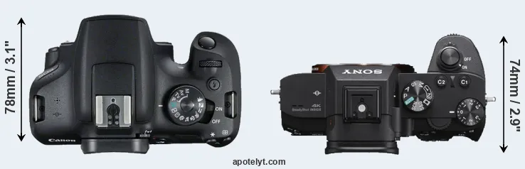 Compare 2000D versus A7 III top