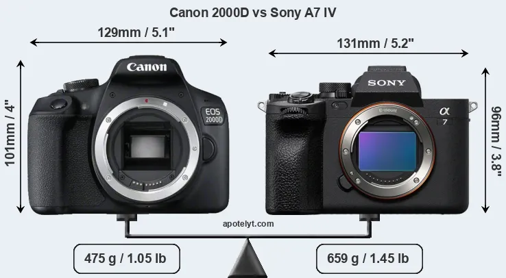 Size Canon 2000D vs Sony A7 IV