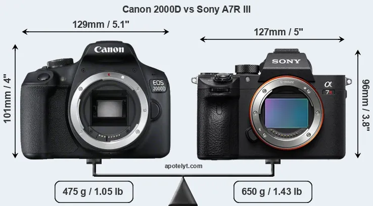 Size Canon 2000D vs Sony A7R III