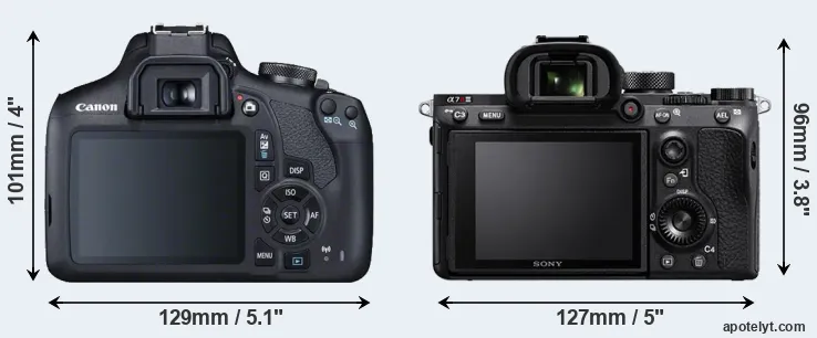 Comparison 2000D or A7R III rear