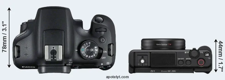 Compare 2000D versus ZV-1 top