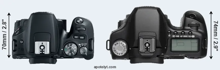 Compare 200D versus 50D top